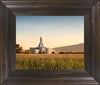 Mount Timpanogos Harvest