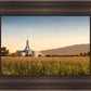 Mount Timpanogos Harvest