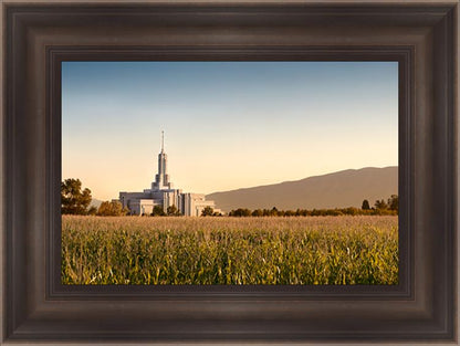 Mount Timpanogos Harvest