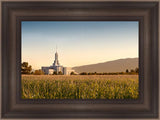 Mount Timpanogos Harvest