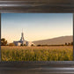 Mount Timpanogos Harvest