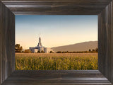 Mount Timpanogos Harvest