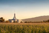 Mount Timpanogos Harvest