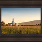 Mount Timpanogos Harvest