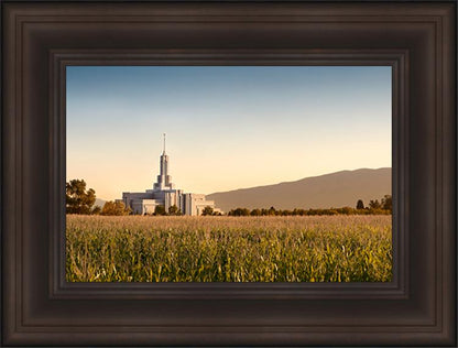 Mount Timpanogos Harvest