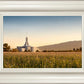Mount Timpanogos Harvest