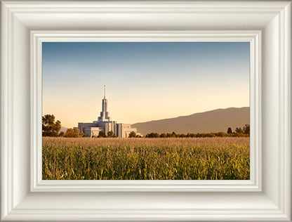 Mount Timpanogos Harvest