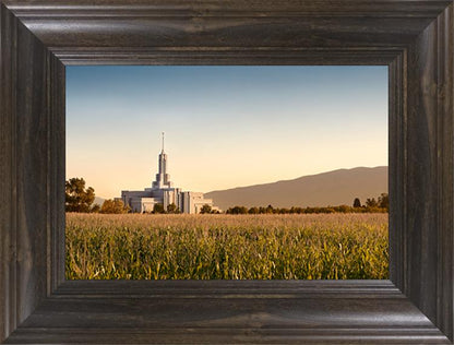 Mount Timpanogos Harvest