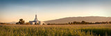 Mount Timpanogos Harvest