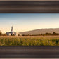 Mount Timpanogos Harvest