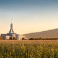 Mount Timpanogos Harvest