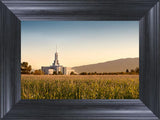 Mount Timpanogos Harvest