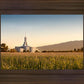 Mount Timpanogos Harvest