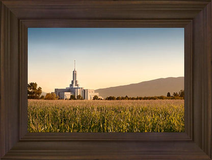 Mount Timpanogos Harvest