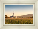 Mount Timpanogos Harvest