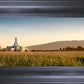 Mount Timpanogos Harvest