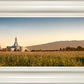 Mount Timpanogos Harvest