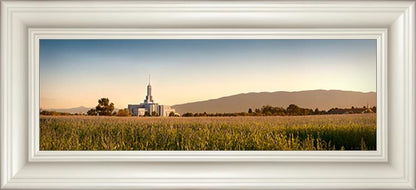 Mount Timpanogos Harvest