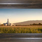 Mount Timpanogos Harvest