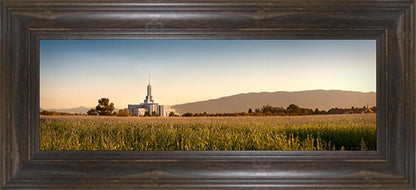 Mount Timpanogos Harvest