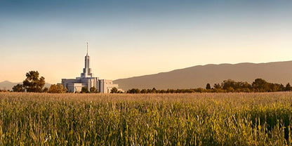 Mount Timpanogos Harvest
