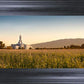 Mount Timpanogos Harvest