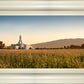 Mount Timpanogos Harvest