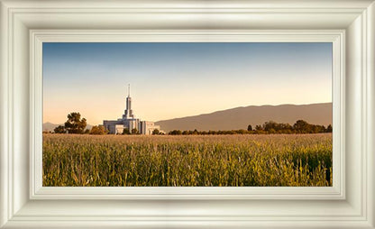 Mount Timpanogos Harvest