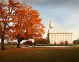 Nauvoo Changing Seasons