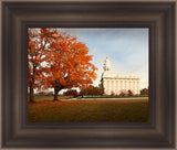 Nauvoo Changing Seasons