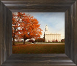 Nauvoo Changing Seasons