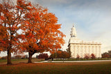 Nauvoo Changing Seasons