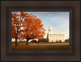 Nauvoo Changing Seasons