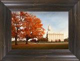 Nauvoo Changing Seasons