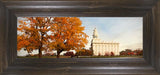 Nauvoo Changing Seasons