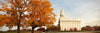 Nauvoo Changing Seasons