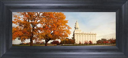 Nauvoo Changing Seasons
