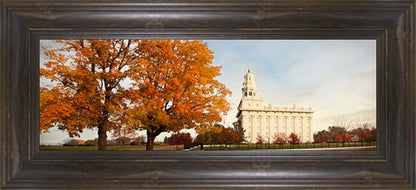 Nauvoo Changing Seasons