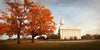 Nauvoo Changing Seasons