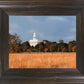 Nauvoo Fields