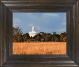 Nauvoo Fields