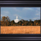 Nauvoo Fields