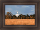 Nauvoo Fields