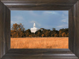 Nauvoo Fields