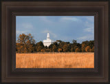 Nauvoo Fields