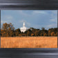 Nauvoo Fields