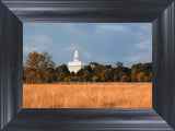 Nauvoo Fields