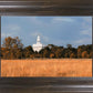 Nauvoo Fields