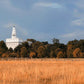 Nauvoo Fields