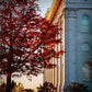 Nauvoo Hope For Tomorrow